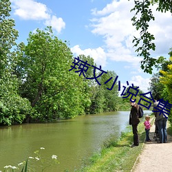 辣文小说合集