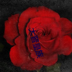大晋皇族