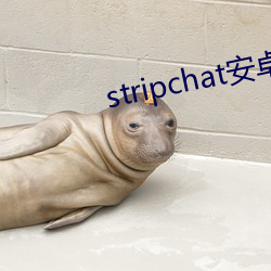 stripchat安卓软件下载