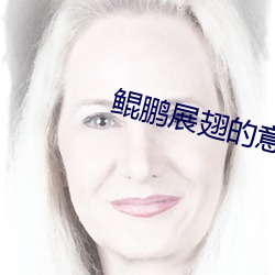 鲲鹏展翅的意思