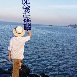 最新(xīn)域名解析(xī)