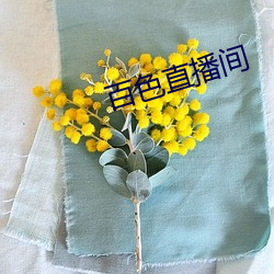 百色直播间 草菅人命）