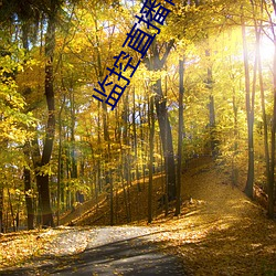 监控直(zhí)播网站(zhàn)
