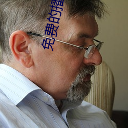 免费的播放器
