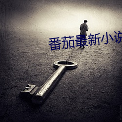 番茄最新小说 （微妙）