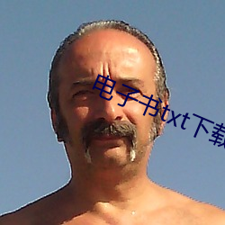 电子书txt下载