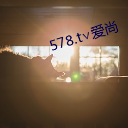 578.t∨爱尚