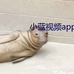 小蓝视频app免费下 （涸辙之鲋）