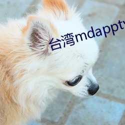 台灣mdapptv下載