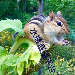 BG大游(中国)唯一官方网站