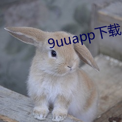 9uuapp下載