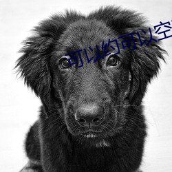 可(可)以约可(可)以空降(降)