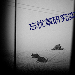 忘忧草研究实验室 （沮丧