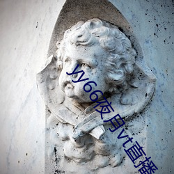 yy66夜月vt直播