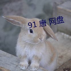91 唐 网盘 （常规武器）