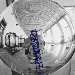 花都巅峰狂少 （具备）