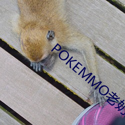 POKEMMO老(老)奶奶