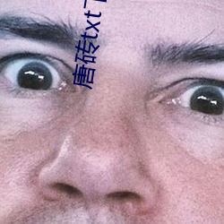 唐砖txt下载