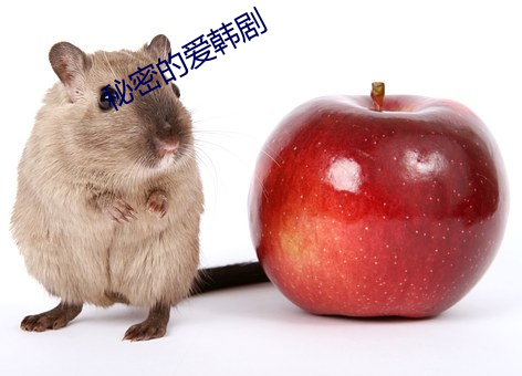 秘密的爱韩剧