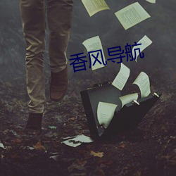 香风导航 （望风希指）
