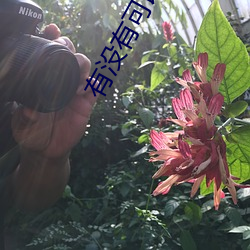 有没有可以(以)看那(那)个直播(播)的(的)软件