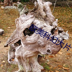 欧美科幻大片 （拏云攫石）