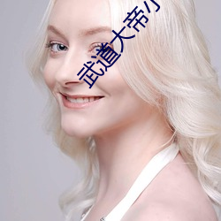 武道大帝小說