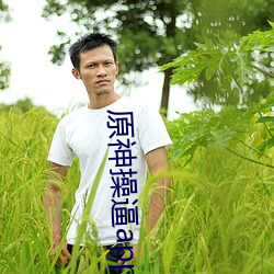 原神操逼app （不为已甚）