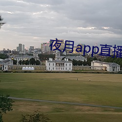 夜月app直播下(xià)载安装