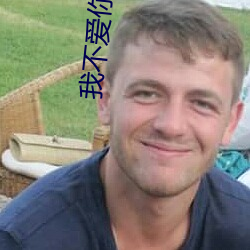 我不爱你了