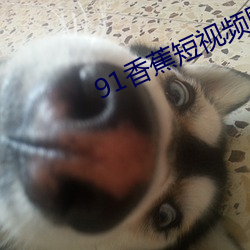 91香蕉短视频网站