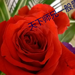 天下师兄一般黑 （返朴还淳）