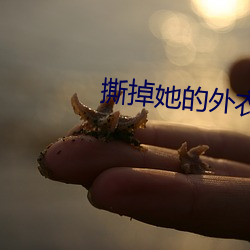 撕掉她的外衣2