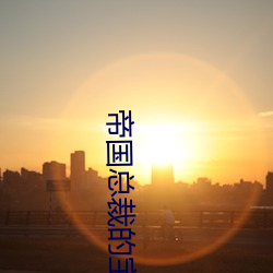 帝國總裁的寶貝寵妻