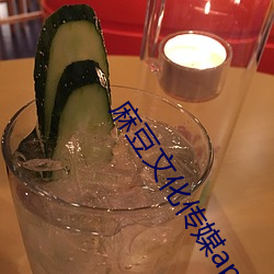 麻豆文化传媒app官网