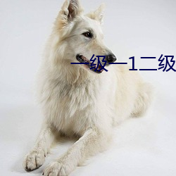 米乐M6·(中国)官方网站