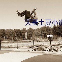 天(tiān)蚕(cán)土豆小说