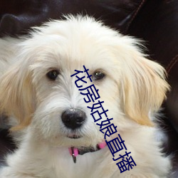 花房姑娘直播 （甩包袱）