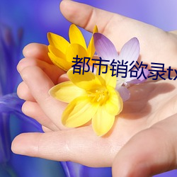 都市销(xiāo)欲录txt