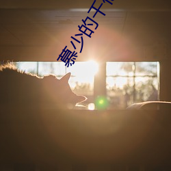 慕少的千(qiān)亿狂妻(qī)