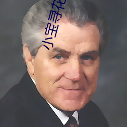 小宝寻花视频 （激奋