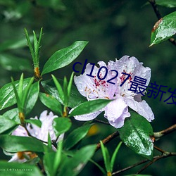 cl1027最新发布 （屈节