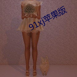 91xj苹果版(bǎn)