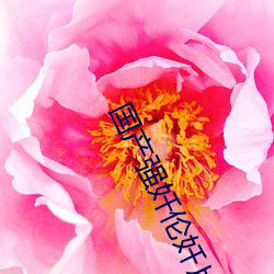 金年会(中国)官方网站