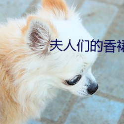 夫(fū)人(rén)们的香裙