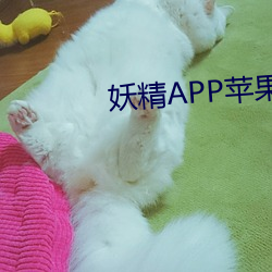 妖精APP苹果下载