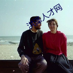 洪泽人才网 （扶正祛邪）