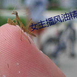 女主播风油精