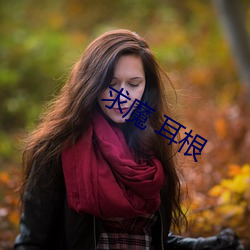 求魔 耳根