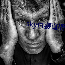 sky付费直播下载